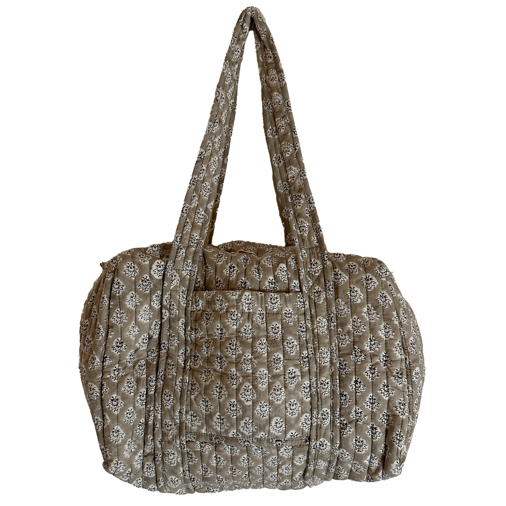 The Overnighter - Georgie in biscuit